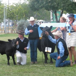2015 Canberra Show