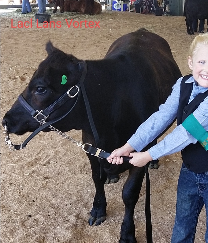 Lach Lans Vortex (LLLV058)